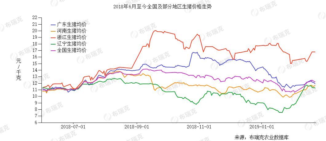 为防治非洲猪瘟疫情 中国将划分五大区域联防联控