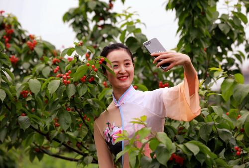 “万物生长时·百果第一枝” 首届中国仁寿天府生长节暨文林镇第二届樱桃文化节开幕