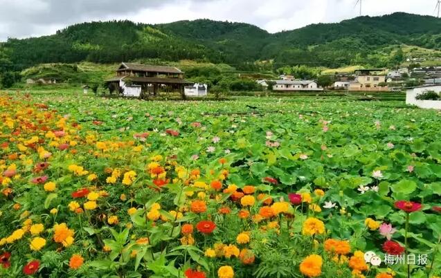 看！梅州现实版“富春山居图”