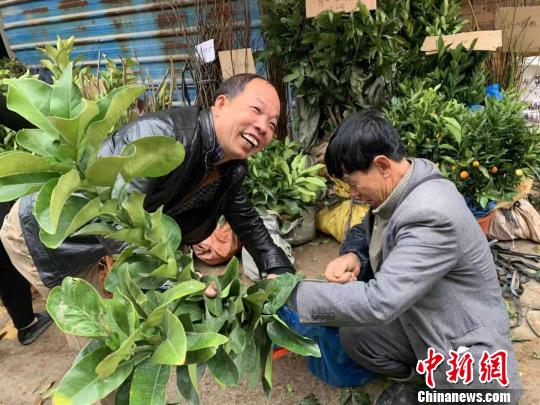 福州闽清坂东“十八坂”开市 已有180多年历史