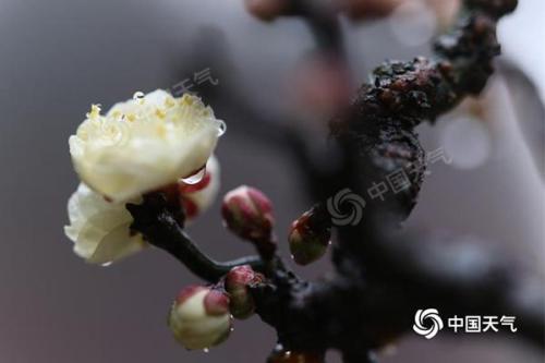 南方阴雨湿冷难耐 东北华北晴暖加码霾难消