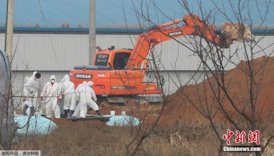 澳门解除多个国家和地区禽鸟产品入口禁令