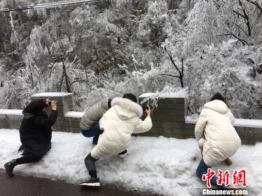 位于霍山县的大别山主峰白马尖景区内山中，冰雪美景引行人拍照忙。　吴兰 摄