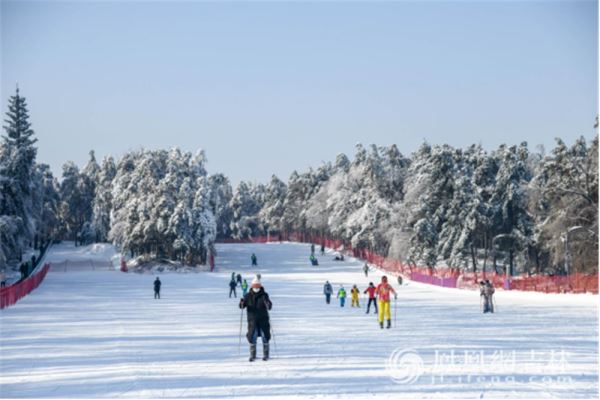 游客在长春净月潭滑雪场体验滑雪。梁琪佳摄