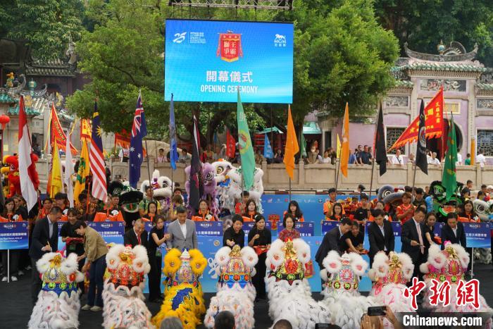 特写：群狮争雄“闹”濠江