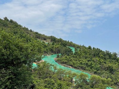 广东专家团队助力澳门山林生态修复